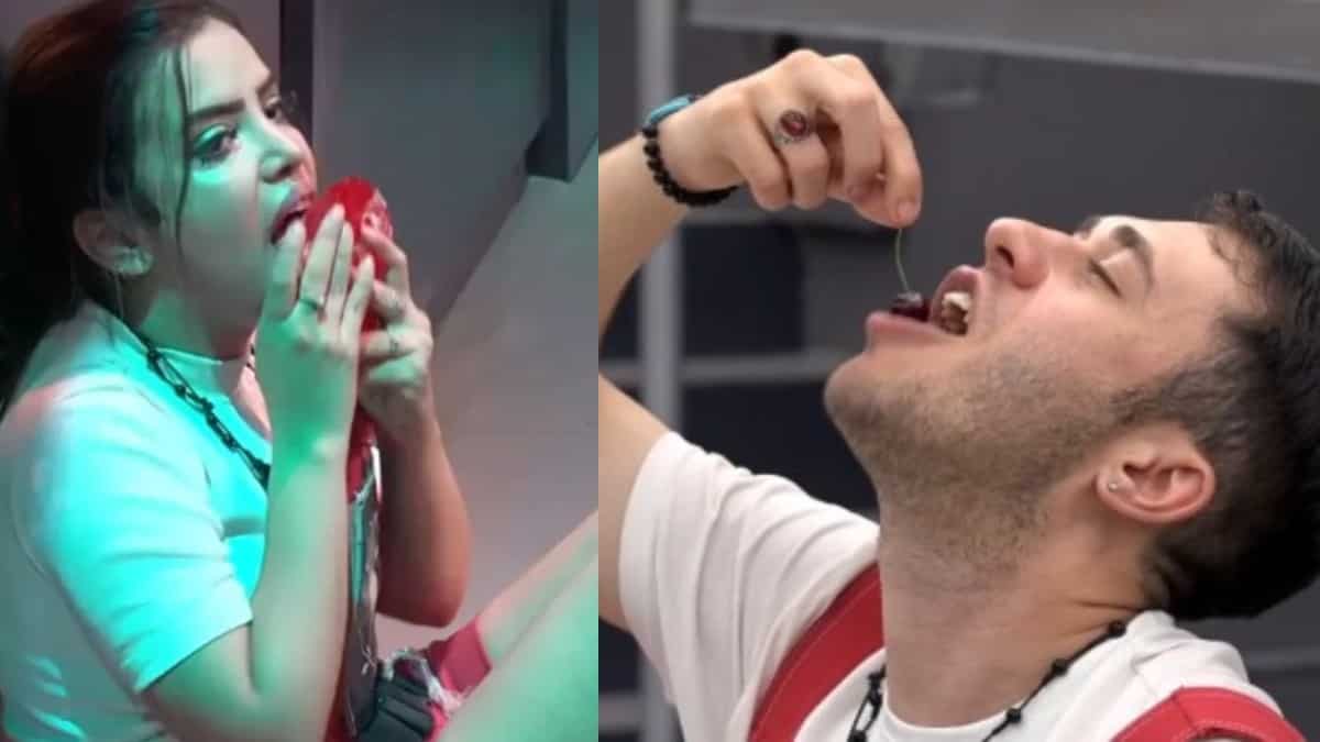 'Munawar की The Society की अब तक की सबसे बड़ी लड़ाइयाँ: आजमा फल्लाह-मननत, आमिर-बिस्वजीत'