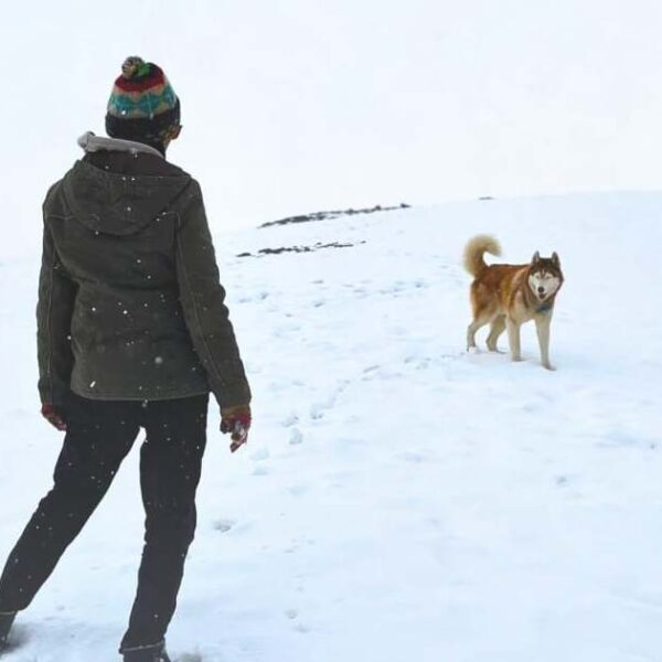 'Oslo: A Tail Of Promise 2025 में IFFI में प्रीमियर होगा, मनाते हुए...'