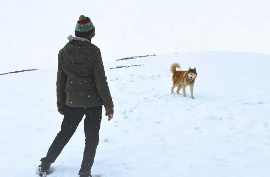 'Oslo: A Tail Of Promise 2025 में IFFI में प्रीमियर होगा, मनाते हुए...'