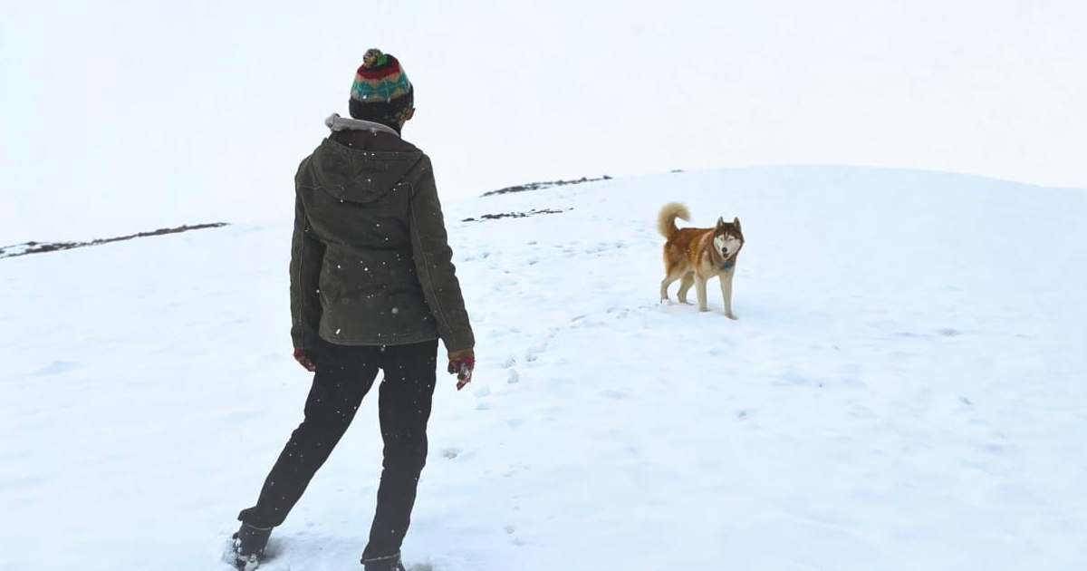 'Oslo: A Tail Of Promise 2025 में IFFI में प्रीमियर होगा, मनाते हुए...'