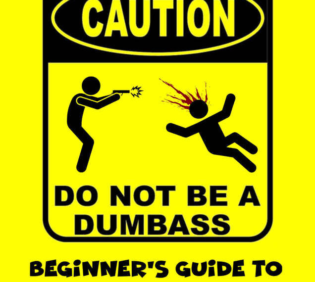 Beginner's Guide To Stupidity Movie (2026)