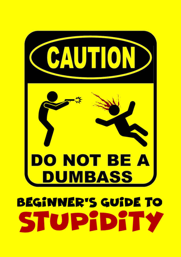 Beginner's Guide To Stupidity Movie (2026)