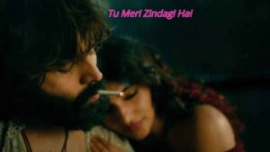 Tu Meri Zindagi Hai Movie (2026)