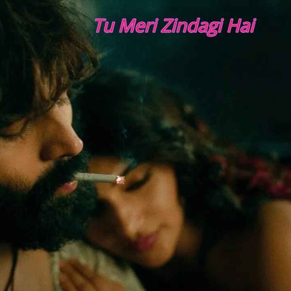 Tu Meri Zindagi Hai Movie (2026)