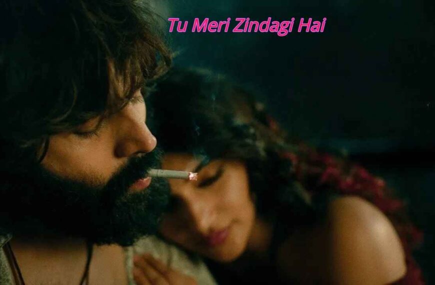 Tu Meri Zindagi Hai Movie (2026)