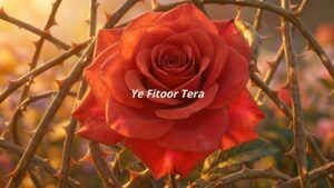 Yeh Fitoor Tera
