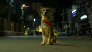 Ohh My Dog Movie (2026)