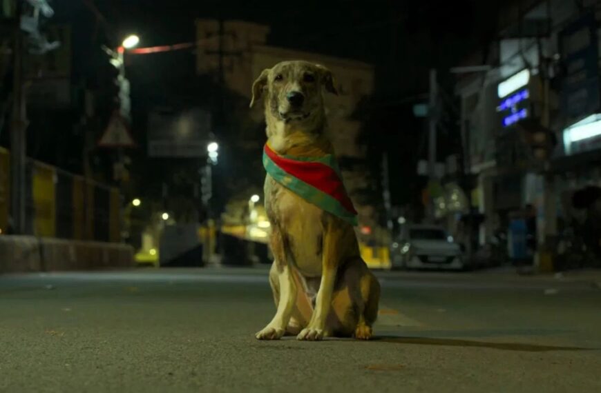 Ohh My Dog Movie (2026)